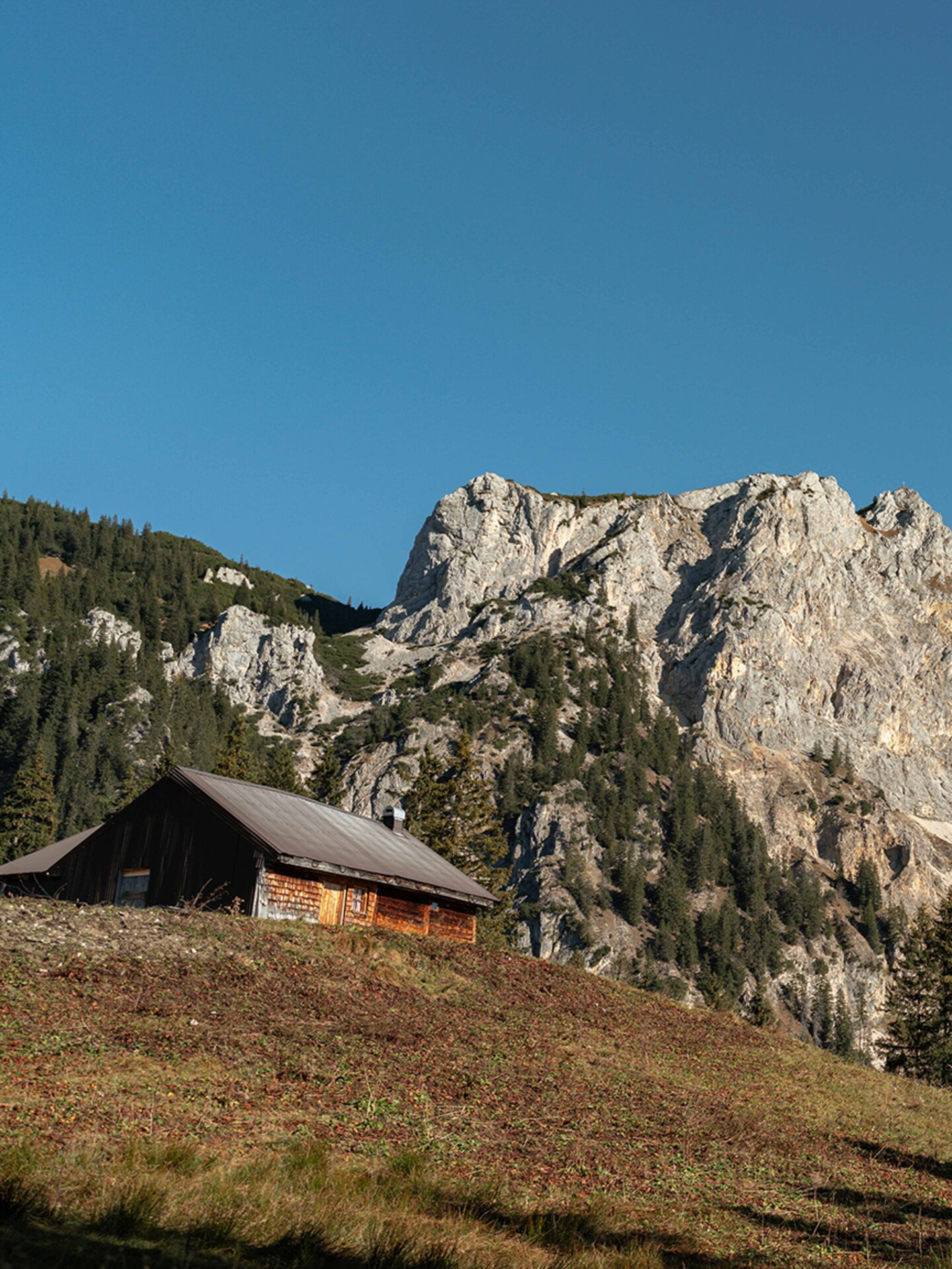 Traditionelle Holzhütte auf einer Bergwiese im HIntergrund die Bergspitzen im Tannheimer Tal 