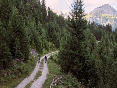 Zwei Mountainbiker auf einem Forst-Radweg im Wald im Tannheimer Tal