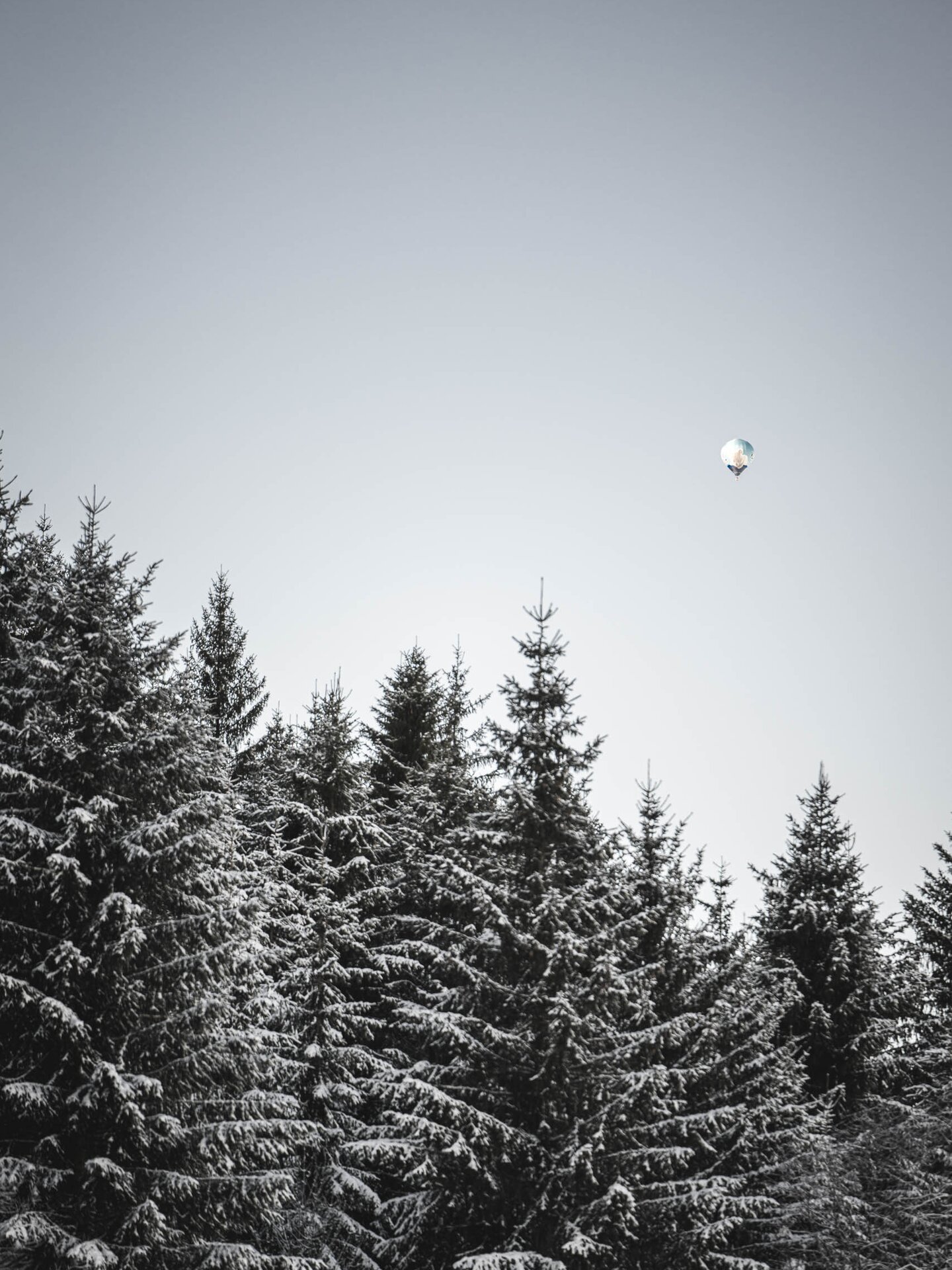 Heißluftballoon am blauen Horizont über verschneitem Wald im Tannheimer Tal