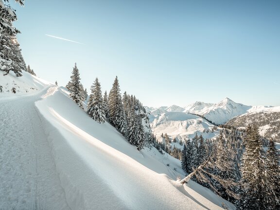 Winterwanderweg eingebettet in die frisch verschneite Berglandschaft des Tannheimer Tals
