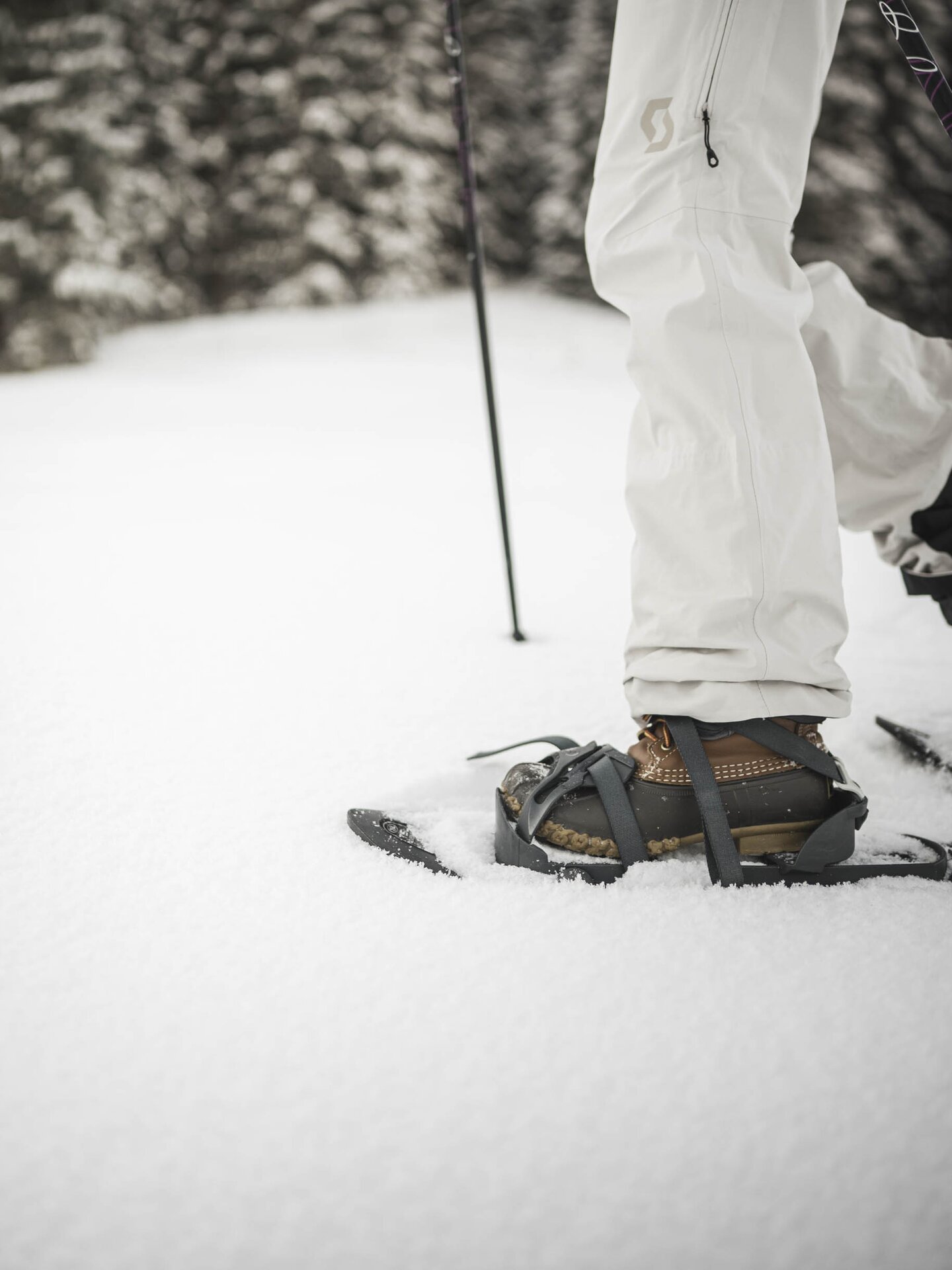 Person beim Schneeschuhwandern in beigem Winteroutfit mitten im Wald