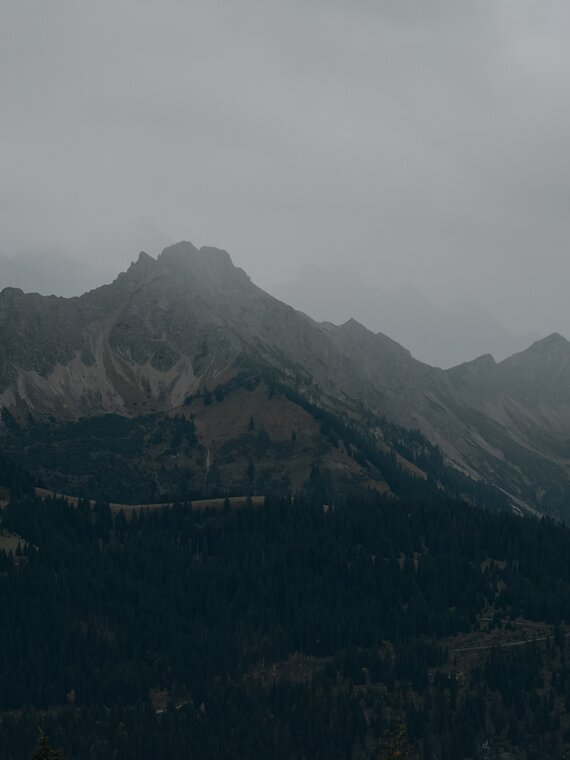 Nebelverhangene Berggipfel und bewaldete Hänge im Tannheimer Tal